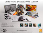Related Images: Guild Wars® 2 Now Live News image