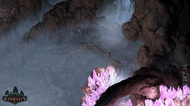 Pillars of Eternity - PS4 Screen