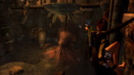 Related Images: Tomb Raider: Underworld - Lara Gets Wet News image