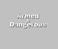 Armed and Dangerous - PC Artwork