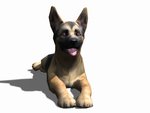 Petz Sports: Dog Playground - Wii Artwork
