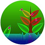 Electroplankton - DS/DSi Artwork