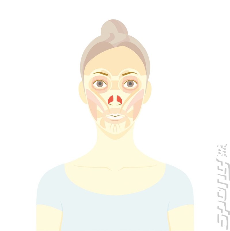 Face Training - DS/DSi Artwork