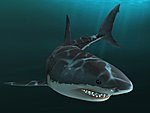 Jaws Unleashed - Xbox Artwork