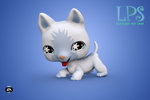 Littlest Pet Shop: Winter - DS/DSi Artwork