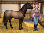 Mary King's Riding School - DS/DSi Artwork
