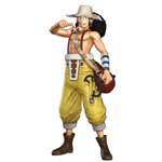 One Piece: Pirate Warriors 2 - PS3 Artwork