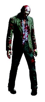 Resident Evil: Deadly Silence - DS/DSi Artwork