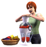 The Sims 2: Seasons - PC Artwork