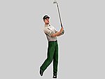 Tiger Woods PGA Tour 06 - GameCube Artwork