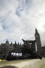 Daft Game Photo Alert: FEAR 2 Pussies News image