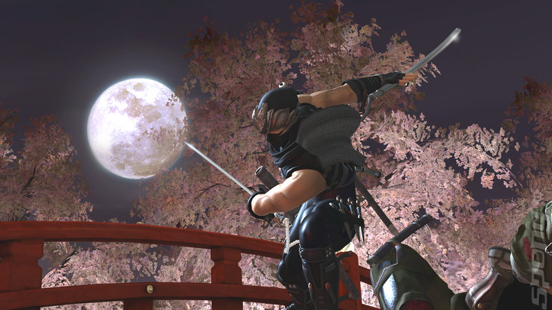 Ninja Gaiden 2 in Video Blood Shower News image