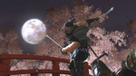 Ninja Gaiden 2 in Video Blood Shower News image