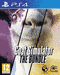Goat Simulator (PS4)