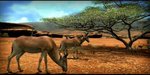 Afrika - PS3 Screen