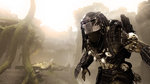 Related Images: Rebellion Won't Compromise AvP for Censors News image