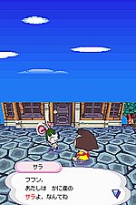 Animal Crossing: Wild World - DS/DSi Screen