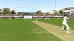 Ashes Cricket 2013 - PC Screen
