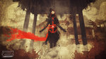 Assassin's Creed Chronicles: China - PS4 Screen