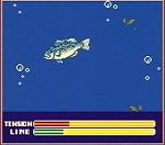 Bass Masters Classics - Game Boy Color Screen