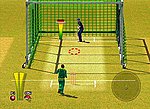 Brian Lara International Cricket 2005 - PS2 Screen
