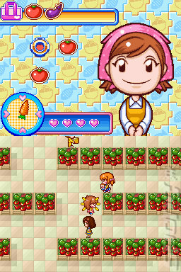 Cooking Mama 3 - DS/DSi Screen