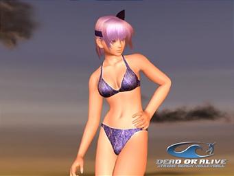 Take and save photographs during Dead or Alive Extreme Beach Volleyball News image