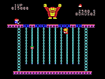 Donkey Kong Junior - Colecovision Screen