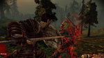 Dragon Age Origins: Ultimate Edition - PS3 Screen