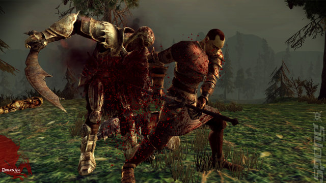 Dragon Age Origins: Ultimate Edition - PC Screen