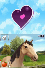 Ellen Whitaker's Horse Life - DS/DSi Screen