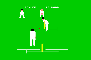 Graham Gooch's Test Cricket - C64 Screen