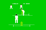 Graham Gooch's Test Cricket - C64 Screen