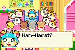 Hamtaro: Rainbow Rescue - GBA Screen