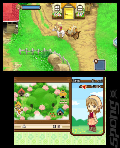 Harvest Moon: The Tale of Two Towns - 3DS/2DS Screen