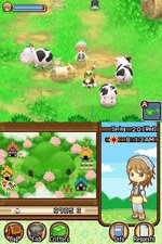 Harvest Moon: The Tale of Two Towns - DS/DSi Screen