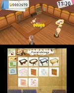 Hometown Story - 3DS/2DS Screen