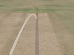 International Cricket Captain III - PC Screen