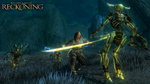 Kingdoms of Amalur: Reckoning - Xbox 360 Screen