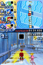 Mario & Sonic at the Olympic Winter Games - DS/DSi Screen