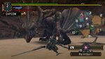 Monster Hunter: Freedom 2 - PSP Screen