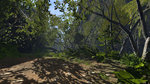 MotorStorm Pacific Rift - Full Hippy Track Details News image