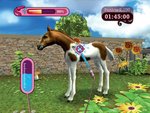 My Animal Centre - Wii Screen