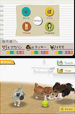 Nintendogs - DS/DSi Screen