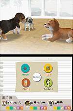 Nintendogs Explained - Barking Mad or Man's Best Friend? News image