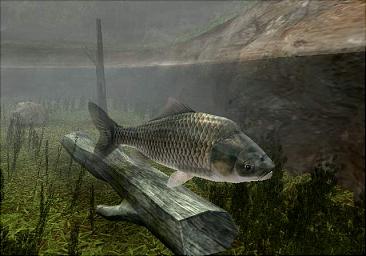 Reel Fishing III - PS2 Screen