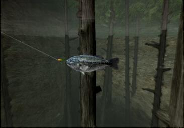 Reel Fishing III - PS2 Screen