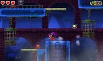 Shantae And The Pirate's Curse - 3DS/2DS Screen