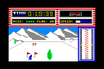 Ski Run - C64 Screen