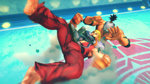 Related Images: Street Fighter IV: Weapons of Male Destruction News image